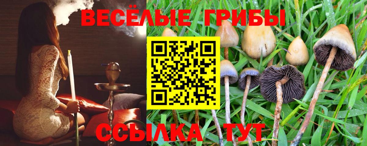 Советск  Галлюциногенные грибы Psilocybe  Псилоцибиновые грибы Psilocybine cubensis  Вход с VPN 
